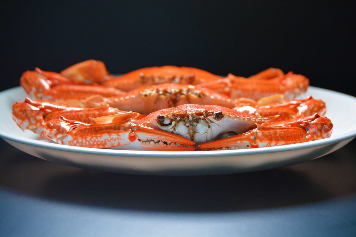 Fresh crab