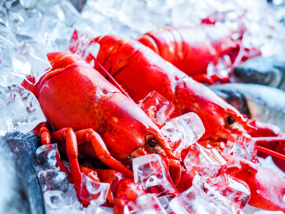 Whole lobster