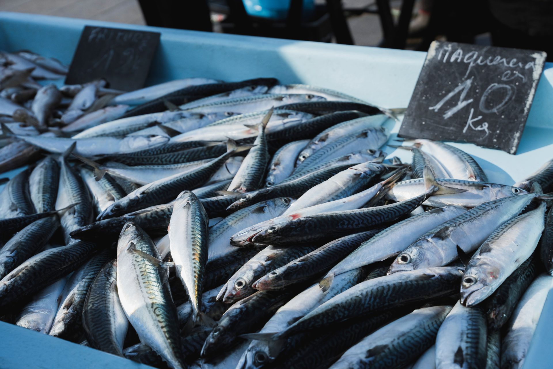 Fresh catch at market