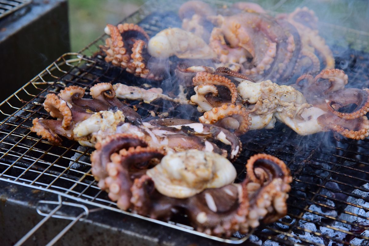 Fresh octopus tentacles