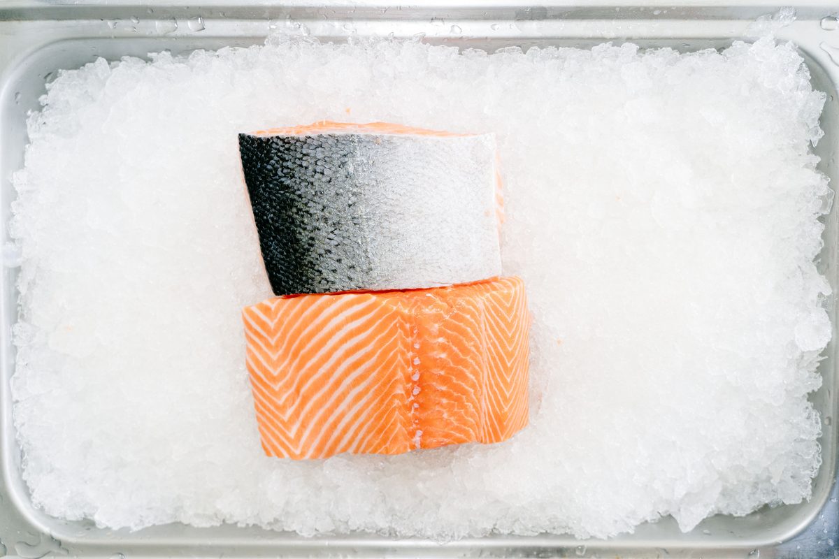 Fresh salmon fillet